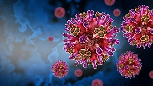 Неизлечимый вирус Нипах убил жительницу Бангладеша