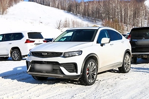 В Петербурге владелец китайского кроссовера отсудил у дилера 45 млн рублей: в чём подвох?