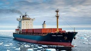 Дипломаты обещали помочь российским морякам с арестованного в Египте танкера Dignity