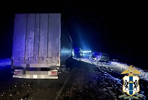 Пять человек погибли в ДТП с грузовиком в Новосибирской области