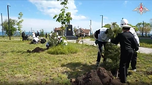 В России стартует седьмой сезон акции «Сад памяти», в честь героев ВОВ и СВО высадят 27 млн деревьев