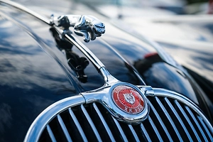 Компания Jaguar Land Rover зарегистрировала в России товарный знак