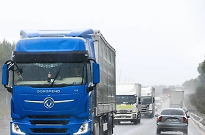 Власти Белоруссии не будут конфисковывать застрявшие литовские фуры