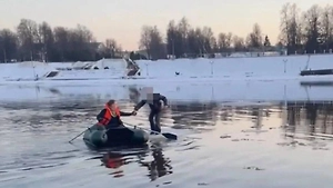 В Твери сотрудники МЧС спасли девочку с оторвавшейся льдины на Волге