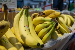 «Появляются быстрее, чем подснежники весной»: Чернышов разнёс новые ГОСТы за «банановые репрессии»
