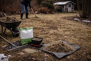 От «соломы» к изумрудному ковру: Главный дачник Подмосковья рассказал, как спасти газон после зимы
