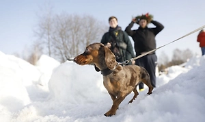 Москвичам пообещали весну и лето с температурой выше нормы