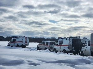 В Звенигороде расширили зону поисков пропавших 7 марта детей

