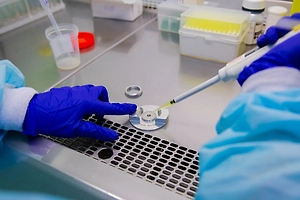 В РФ создадут первый в мире препарат для блокировки гена, запускающего старение