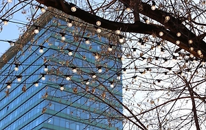 Синоптик пообещал москвичам потепление до +10 на выходных