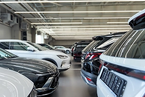 Автодилеры объяснили падение продаж новых авто в феврале снегом и снижением скидок