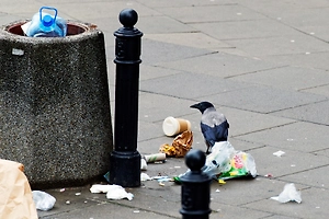 Россиян предупредили о штрафах до 15 тысяч рублей за выброс мусора в урну у подъезда