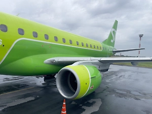 Вылетевший в Омск самолёт S7 вернулся в Новосибирск из-за проблем с шасси