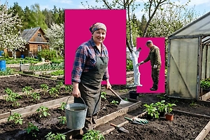 Дачный сезон открыт! Когда сажать рассаду в 2026 году: лунный и посевной календари на март, апрель и май 