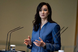 Премьер Ругинене признала, что упавший в Литве дрон был украинским