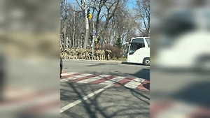 Полиция и военные стягиваются в правительственный квартал Киева