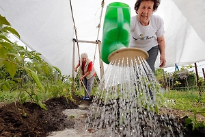 Как успеть все дачные работы за рекордно короткие майские праздники — секреты Октябрины Ганичкиной