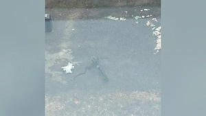 В Челябинске школьник выстрелил в одноклассницу из арбалета и сбежал через окно