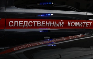 СК истребовал у Таиланда материалы дела об убийстве россиянки её бойфрендом