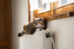 Под присмотром коммунальщиков: Как поменять батареи и не напороться на штраф