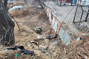 В Приморье мотоциклист съехал в обрыв и разбился насмерть