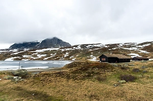 «Позовите нас, мы придём»: Иран готов побороться с США за свободу Гренландии