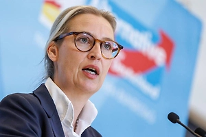 Глава АдГ Вайдель: Мира в Европе невозможно достичь без участия России