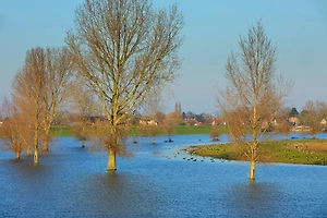 Россиянам объяснили, как спасти себя и близких при опасных паводках