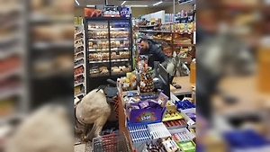 В Сочи «горе-принц» прискакал на белом коне в магазин и устроил погром