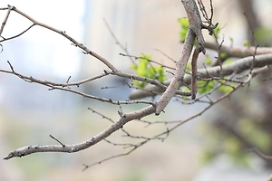 22-градусная жара ждёт москвичей в начале апреля