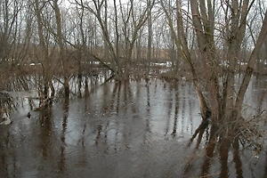 Весеннее половодье началось в европейской части России