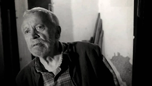 Умер режиссёр «Принцессы на бобах» и «Дикой любви» Виллен Новак

