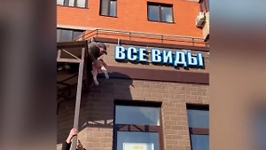 В Люберцах прохожие спасли выпавшего из окна младенца