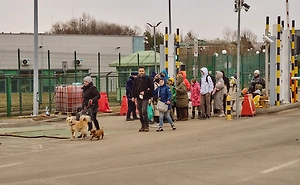 Польша захотела отгородить себя «электрической стеной» от Украины