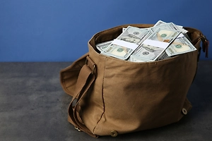 Сумку с 88 тысячами долларов выбросила из окна 7-летняя москвичка назло маме