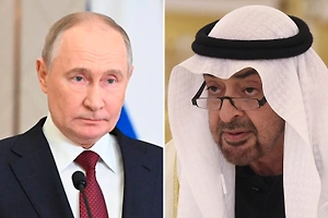 Путин и президент ОАЭ призвали к скорейшему прекращению огня на Ближнем Востоке