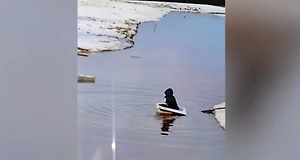 В Тюменской области выловили из реки ребёнка, который сплавлялся в ванне