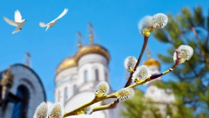 Вербное воскресенье 2026: Когда цветёт надежда и в душе просыпается весна
