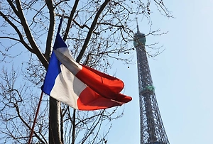 Французы запаниковали после слов Путина и призвали «отменить идиотские санкции»