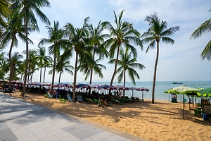 В Паттайе голые трансженщины* набросились на туриста с кирпичом