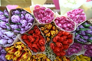 Стало известно, какие цветы покупают чаще всего мужчины на Рижском рынке