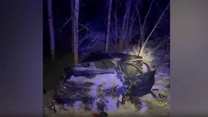 В Ленобласти два человека погибли в ДТП с рейсовым автобусом