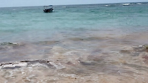 Пляжи Шри-Ланки залило мазутом от взорванного после удара Ирана танкера

