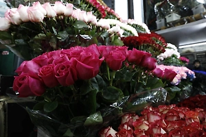 Розы больше не в почёте: Какие цветы и подарки женщины ждут на 8 Марта