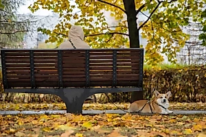 Вторая волна клещей: Life.ru выяснил, как защитить питомцев во время прогулки