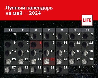 Месяц красоты: когда в мае 2024 делать стрижку на успех и финансовую удачу