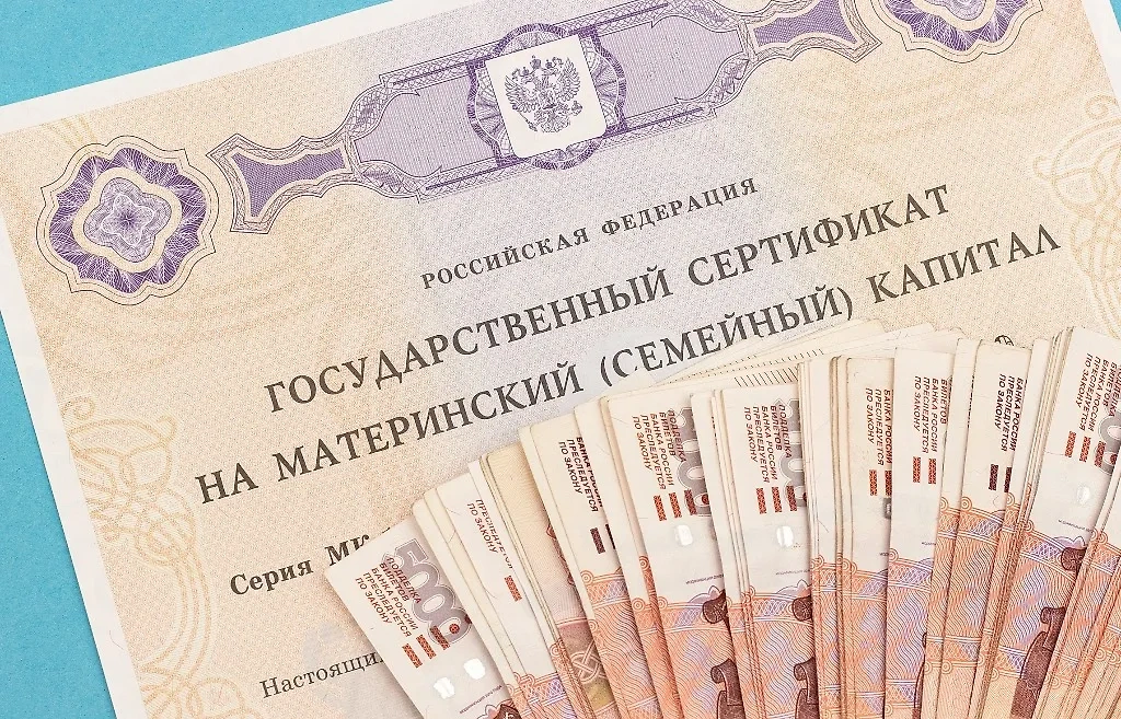 Виды материнского капитала