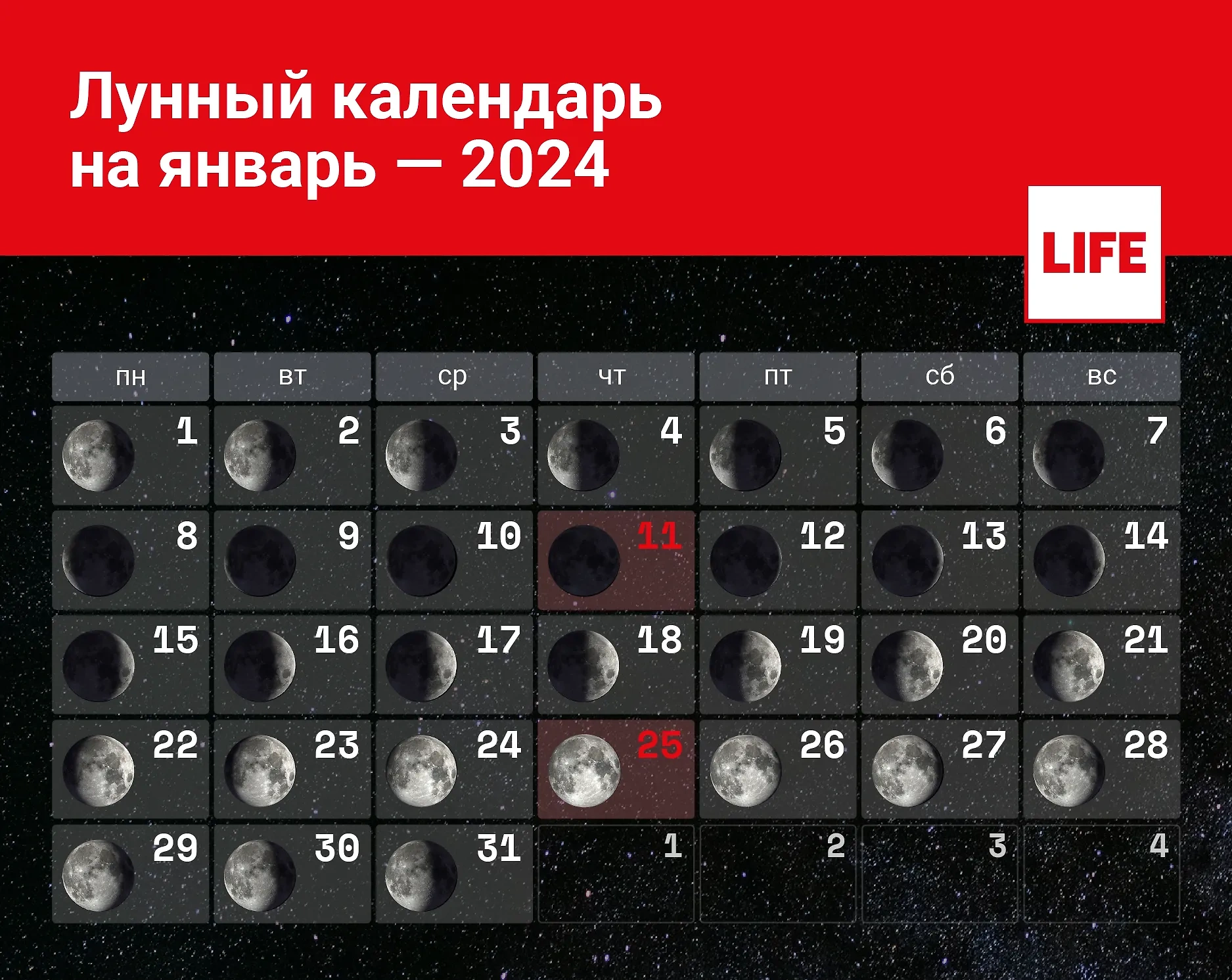 Благоприятные дни в феврале 2024