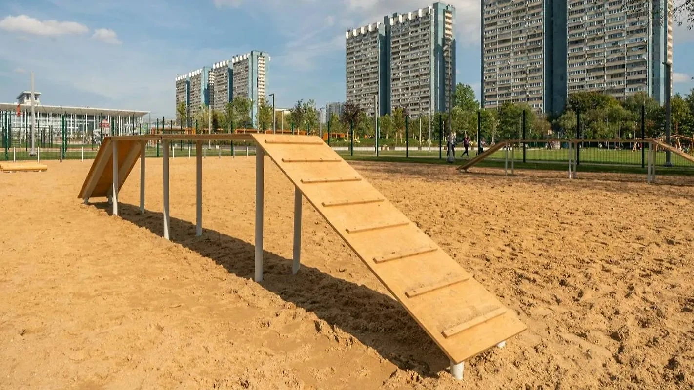 Площадку для выгула и дрессировки собак обустроили в московском районе ...