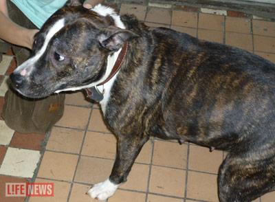 У Софии осталась только мать спасенной Каси - саму ее после спасения из-под колес поезда больше никто не видел